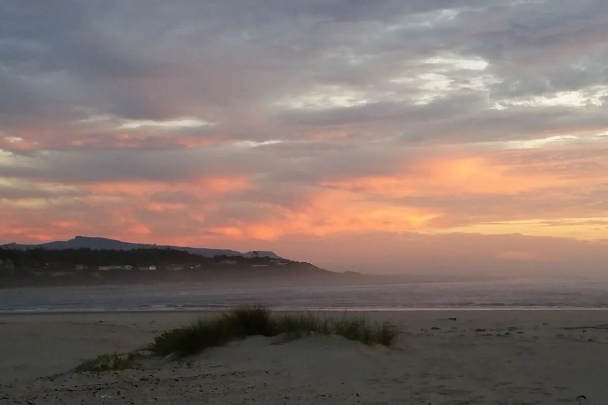 Dunes and coastline