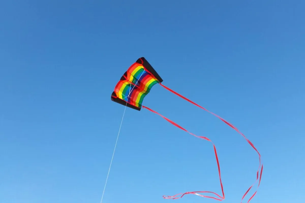 Kite flying at the beach
